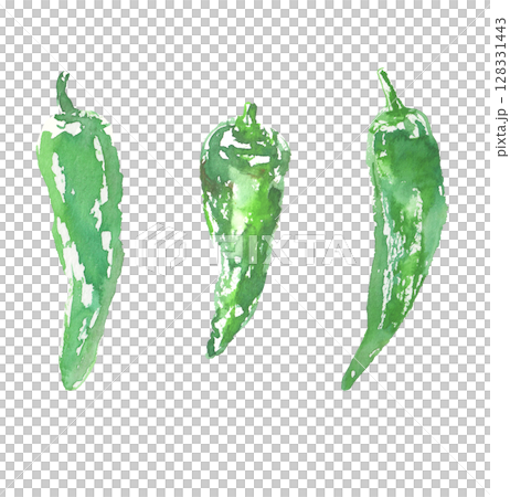 萬願寺胡椒的水彩插圖 128331443