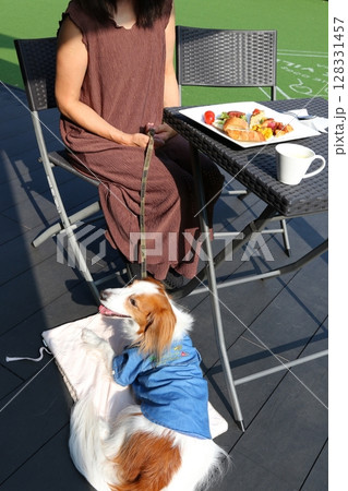 犬と過ごす青空のカフェテラスでの癒しのひととき 128331457