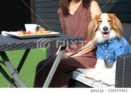ドッグカフェで食事する犬と飼い主 128331461