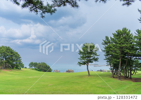 「青森県」天然芝生地　種差海岸の風景 128331472