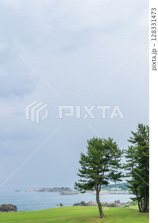 「青森県」天然芝生地 種差海岸の風景 「青森県」天然芝生地 種差海岸の風景 128331473