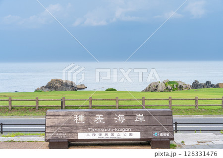 「青森県」天然芝生地　種差海岸の風景 128331476
