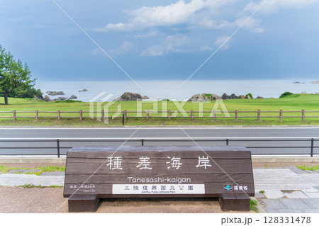 「青森県」天然芝生地　種差海岸の風景 128331478