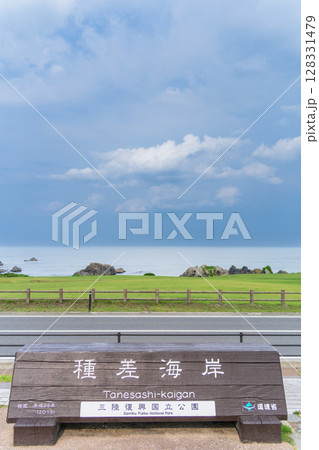 「青森県」天然芝生地　種差海岸の風景 128331479