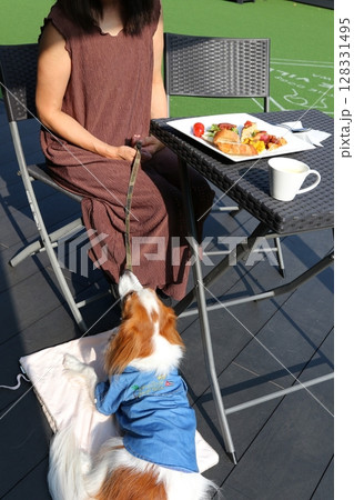 犬と過ごす青空のカフェテラスでの癒しのひととき 128331495