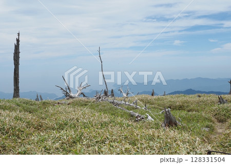 大台ケ原の枯れ木と笹と山と空 128331504