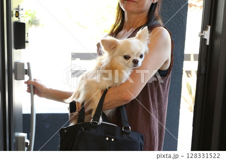 チワワを抱っこして外出する女性のリアルな日常 128331522