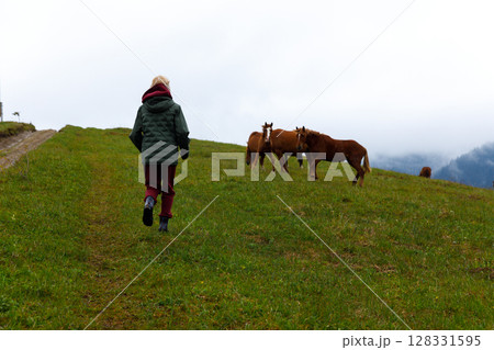 A Person Walking Toward Grazing Horses on a Beautiful Green Hill Under a Cloudy Sky: A Peaceful Rural Scene Capturing Nature's Charm and Serenity in the Outdoors 128331595