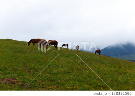 Scenic View of Horses Grazing on a Lush Green Hillside Under Overcast Skies with a Backdrop of Majestic Mountains and Soft Fog Rolling Through the Landscape Scenic View of Horses Grazing on a Lush Green Hillside Under Overcast Skies with a Backdrop of Majestic Mountains and Soft Fog Rolling Through the Landscape 128331596