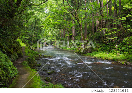 新緑のかずら橋 新緑のかずら橋 128331611