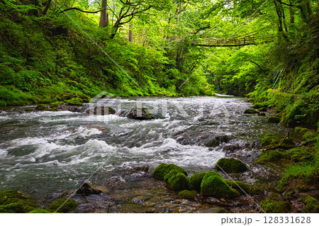 新緑のかずら橋 128331628