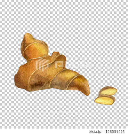Ginger root watercolor illustration hand drawn isolated on white background for fabric, textile, prints, design Ginger root watercolor illustration hand drawn isolated on white background for fabric, textile, prints, design 128331925