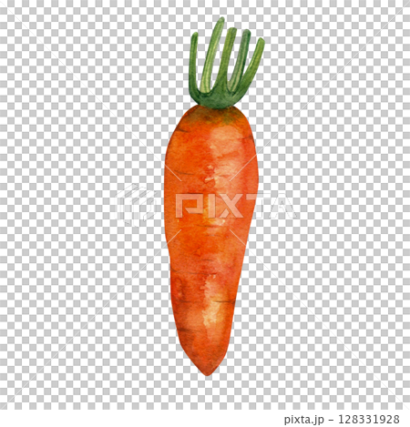 Carrot - hand drawn watercolor illustration, isolated on white background for fabric, textile, prints, design, cards. Carrot - hand drawn watercolor illustration, isolated on white background for fabric, textile, prints, design, cards. 128331928