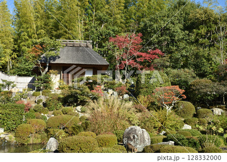 秋の等持院 茶室・清漣亭と庭園・芙蓉池 秋の等持院 茶室・清漣亭と庭園・芙蓉池 128332000
