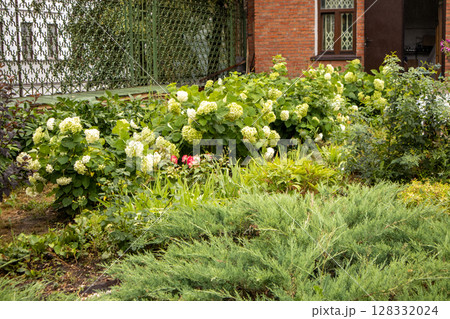 A flower garden in the patio of a small brick house, enclosed by a metal lattice fence 128332024