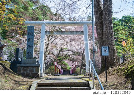 「青森県」桜咲く国史跡三戸城跡城山公園の風景　三戸町 128332049