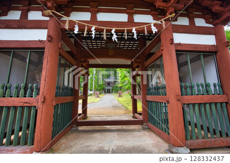 新緑にそびえる稲荷の大杉 128332437