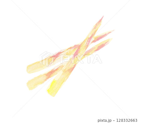 京みょうがの水彩イラスト – 香り豊かな京都の伝統野菜 京みょうがの水彩イラスト – 香り豊かな京都の伝統野菜 128332663