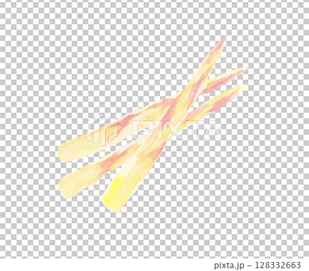 京みょうがの水彩イラスト – 香り豊かな京都の伝統野菜 京みょうがの水彩イラスト – 香り豊かな京都の伝統野菜 128332663