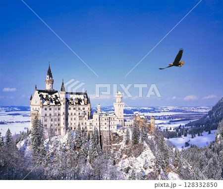 厳冬期のノイシュバンシュタイン城の絶景 厳冬期のノイシュバンシュタイン城の絶景 128332850