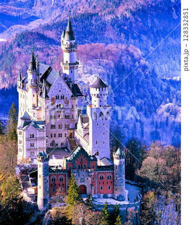 厳冬期のノイシュバンシュタイン城の絶景 128332851