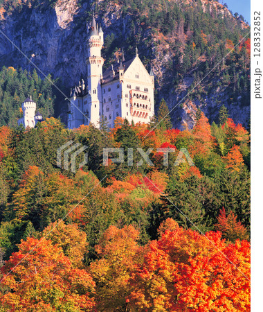 紅葉の美しいノイシュバンシュタイン城の絶景 128332852