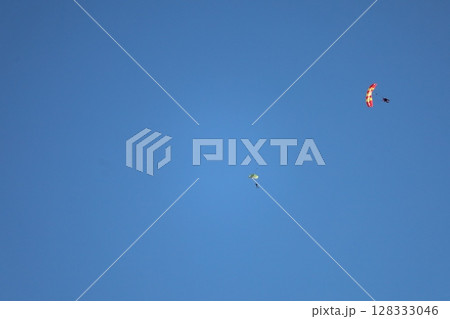 （さいたま・桶川飛行場）大空を飛ぶスカイダイバー 128333046