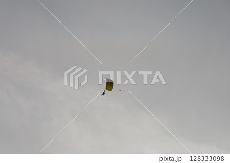 （さいたま・桶川飛行場）大空を飛ぶスカイダイバー 128333098