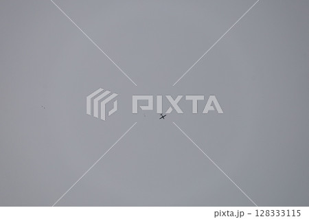 （さいたま・桶川飛行場）飛行機から大空に向かって飛ぶスカイダイバー 128333115