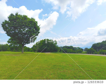 タイトル画面用自然風景 128333610