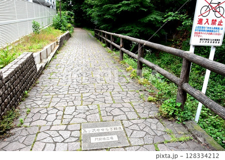 横浜市　三ツ沢せせらぎ緑道門前橋広場付近の水辺の遊歩道 128334212