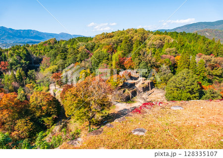 苗木城跡（秋）：天守展望台から三の丸・大矢倉の眺め 128335107