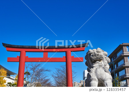 鶴岡八幡宮　二の鳥居と狛犬と青空（神奈川県鎌倉市） 128335457