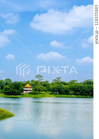 嘉義 アジア人 アジアン 128335883