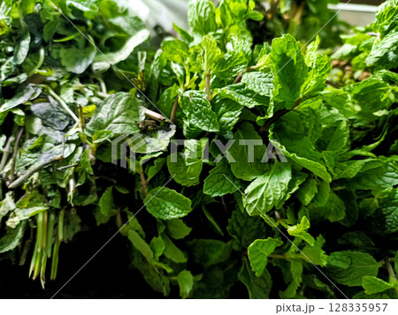 Fresh Mint Leaves or Pudina on wooden table Fresh Mint Leaves or Pudina on wooden table 128335957