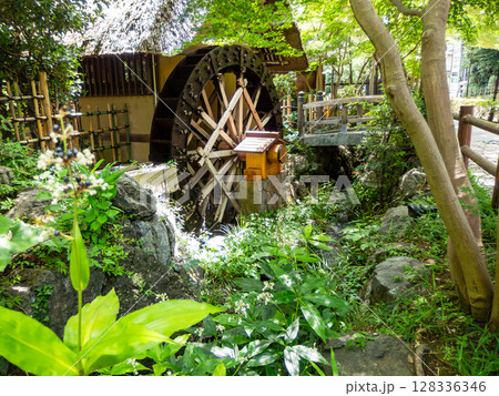 初夏にみずみずしい緑に囲まれた水車小屋の景色 128336346