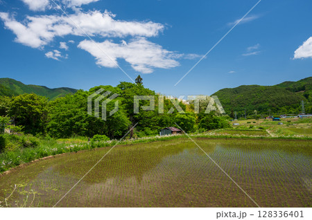 長和町の水田風景　のどかな田舎 128336401