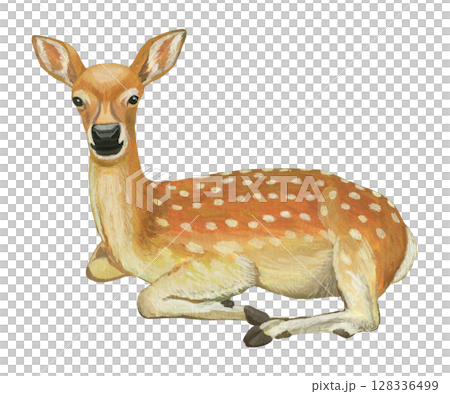 休んでいるシカのイラスト 128336499