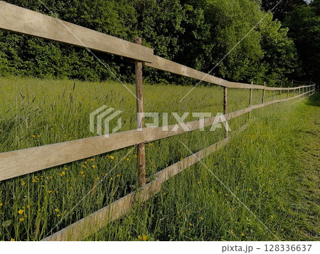 Wooden fence with a green field in the background Wooden fence with a green field in the background 128336637