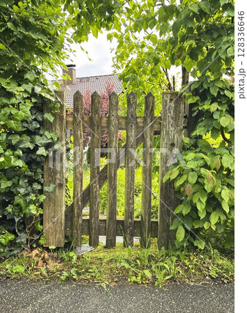 Wooden gate with ivy growing on it 128336646