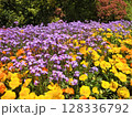 カラフルな花々 128336792