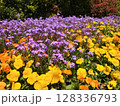 色とりどりの花が咲いています 128336793