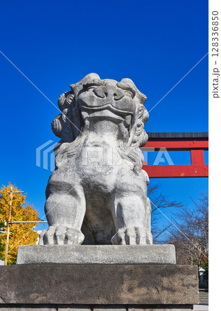 鶴岡八幡宮　二の鳥居と狛犬と青空（神奈川県鎌倉市） 128336850