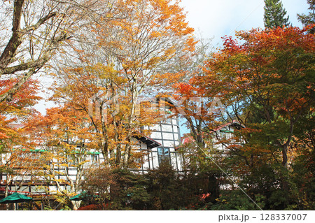 秋の軽井沢の万平ホテル 秋の軽井沢の万平ホテル 128337007