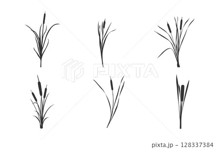 Cattail svg, Cattail silhouette, Cattail plant silhouette, Reeds and cattail silhouette, Cattail plant svg, Cattail vector set. Cattail svg, Cattail silhouette, Cattail plant silhouette, Reeds and cattail silhouette, Cattail plant svg, Cattail vector set. 128337384