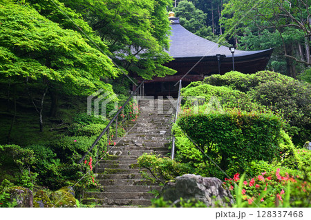 新緑に包まれた法雲寺の石段 128337468