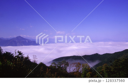 雲海に浮かぶ武甲山 128337560