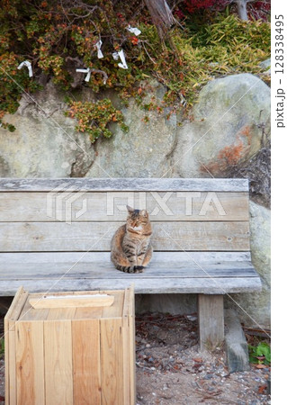 猫のいる風景 128338495