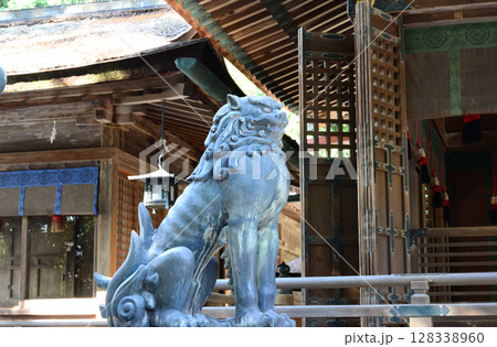 香川県金刀比羅宮三穂津姫社拝殿横の狛犬-1 128338960