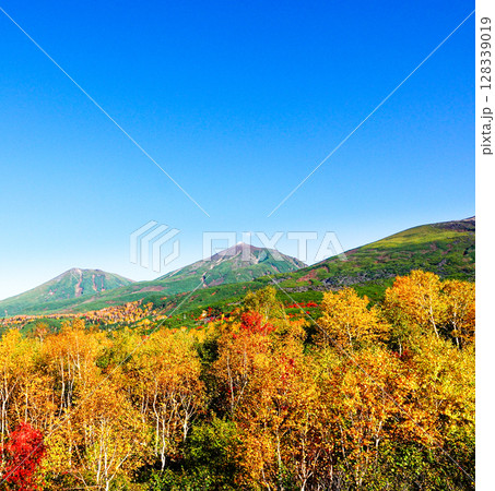 秋真っ盛り10月の北海道美瑛町望岳台から見た錦繍の十勝岳連峰 128339019